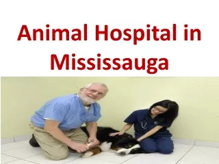 Animal vet Hospital in Mississauga