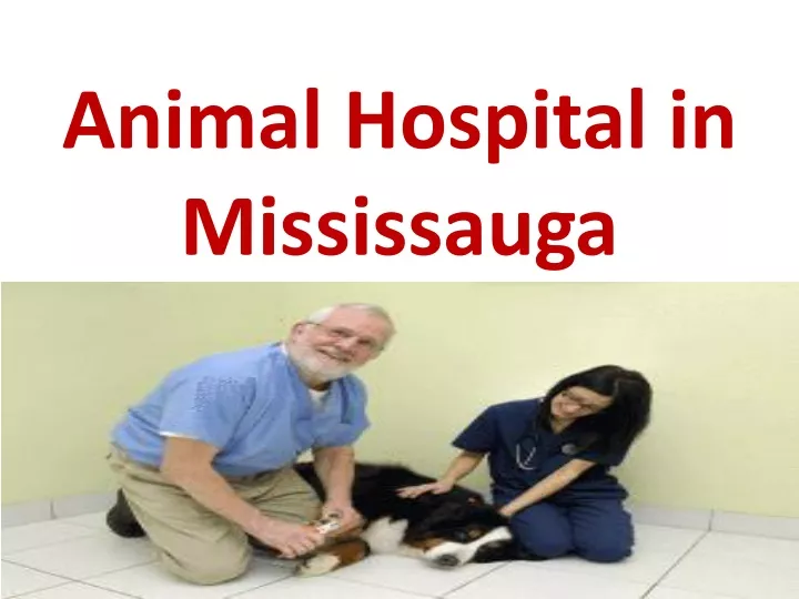 animal hospital in mississauga