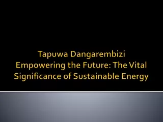 Tapuwa Dangarembizi Empowering the Future The Vital Significance of Sustainable Energy