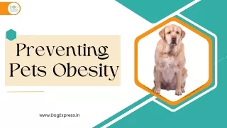 Preventing Pets Obesity – Pet Owner’s Guide