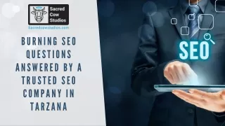 Burning SEO Questions Answered by a Trusted SEO Company in Tarzana