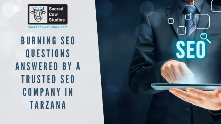 burning seo questions answered by a trusted