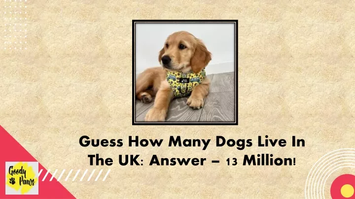 guess how many dogs live in the uk answer