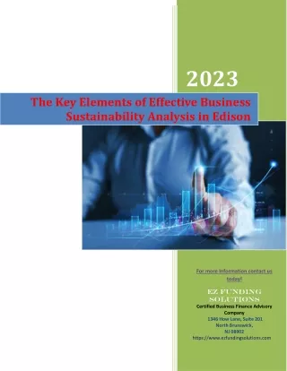 The Key Elements of Effective Business Sustainability Analysis in Edison