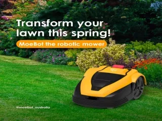 Spring into Action with Moebot: Your Lawn's Best Friend!