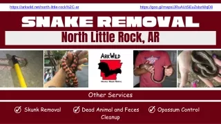 Snake Removal North Little Rock, AR