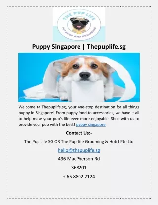 Puppy Singapore | Thepuplife.sg