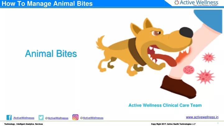 how to manage animal bites