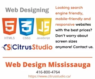 Mississauga Web Design
