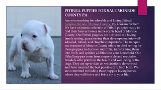 pitbull puppies for sale Monroe county pa.