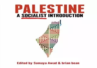Download Palestine: A Socialist Introduction Free