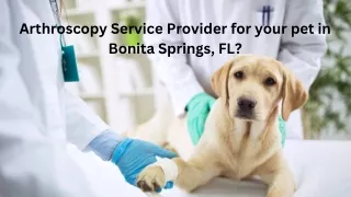 Arthroscopy Service Provider for your pet in Bonita Springs, FL