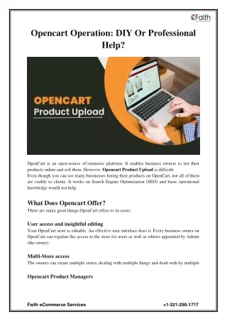 OpenCart operation_ DIY or Professional Help