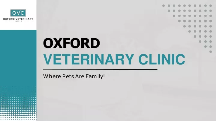 oxford veterinary clinic