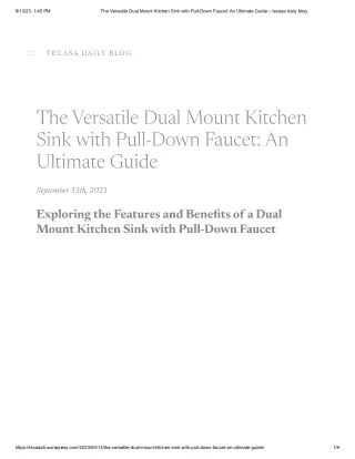 The Versatile Dual Mount Kitchen Sink with Pull-Down Faucet_ An Ultimate Guide – tecasa daily blog