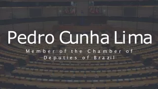 Deputados da Câmara dos Deputados defendem a democracia por Pedro Cunha Lima
