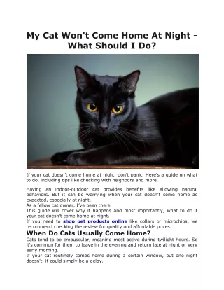 My Cat Won't Come Home At Night - What Should I Do
