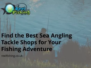 Find The Best Sea Angling Tackle Shops For Your Fishing Adventure