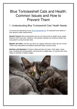 Blue Tortoiseshell Cats and Health Common Issues and How to Prevent Them