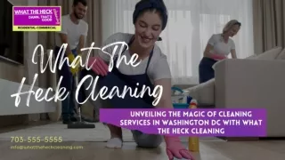 What The Heck Cleaning Providing the Magic of Cleaning Services in Washington DC