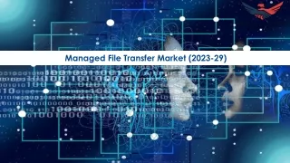managed file transfer market 2023 29