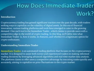 How Does Immediate Trader Work?