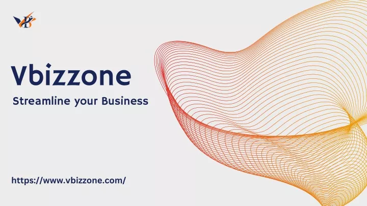 vbizzone streamline your business
