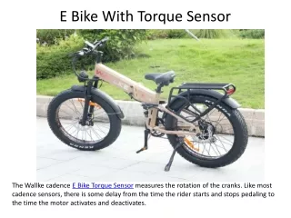 E Bike With Torque Sensor