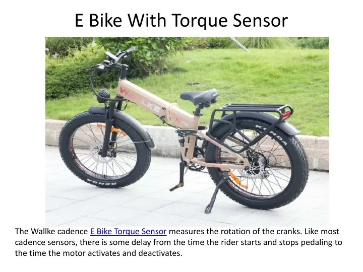 e bike with torque sensor