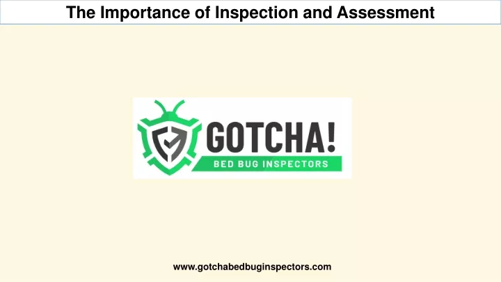 the importance of inspection and assessment