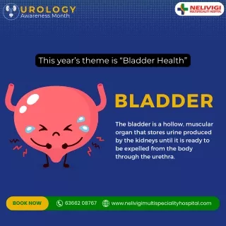 Bladder Health | Best Urology Hospitals in Bangalore | Nelivigi Urology