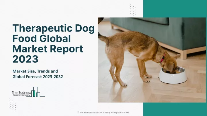 therapeutic dog food global market report 2023
