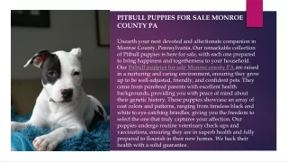 pitbull puppies for sale Monroe county pa.