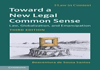 PDF Toward a New Legal Common Sense: Law, Globalization, and Emancipation (Law i