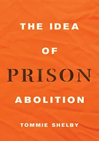 Full PDF The Idea of Prison Abolition (Carl G. Hempel Lecture Series, 10)