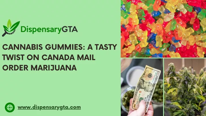 cannabis gummies a tasty twist on canada mail