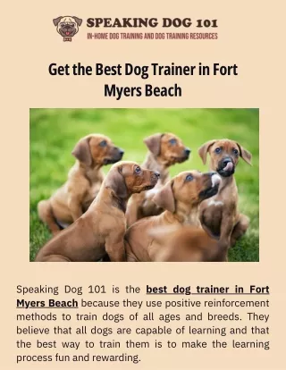 The Best Dog Trainer in Fort Myers Beach: Need to Train Your Dog