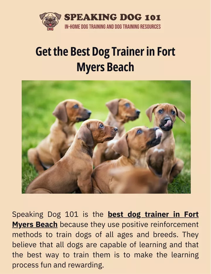 get the best dog trainer in fort myers beach