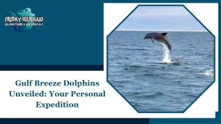 Gulf Breeze Dolphins Unveiled Your Personal Expedition