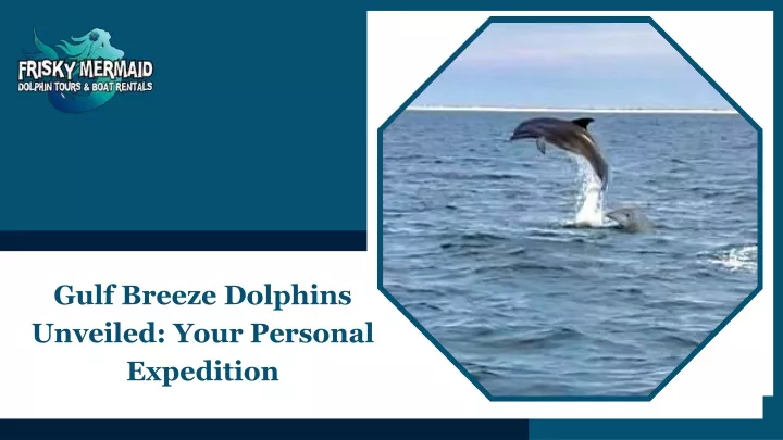 gulf breeze dolphins unveiled your personal