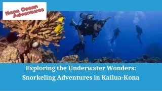 Exploring the Underwater Wonders Snorkeling Adventures in Kailua-Kona