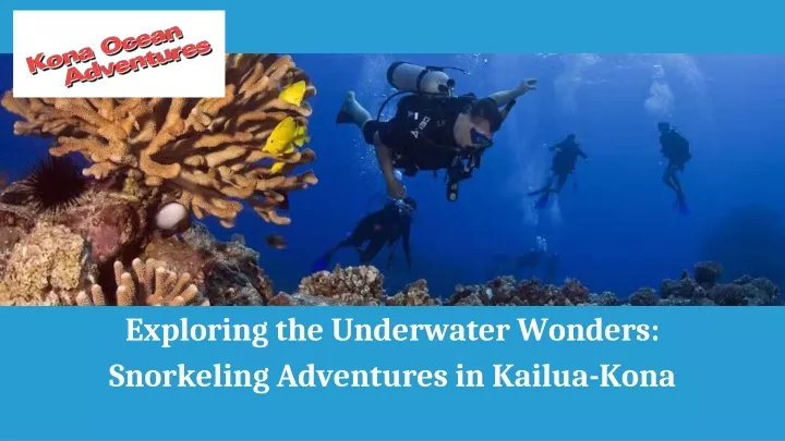 exploring the underwater wonders snorkeling