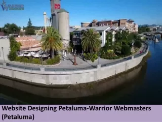 Warrior Webmasters (Petaluma)-Website Designing Petaluma