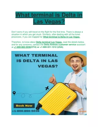 What terminal is Delta in Las Vegas by Skynair.com