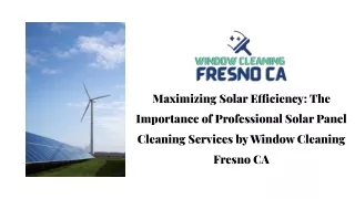 Maximizing Solar Efficiency: The Importance of Professional Solar Panel Cleaning