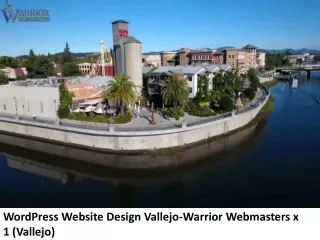 Warrior Webmasters x 1 (Vallejo)-Best Web Design Agency In Vallejo