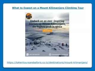 What to Expect on a Mount Kilimanjaro Climbing Tour