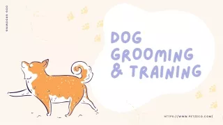 Pamper Your Pooch at Petzzco: Your Local Dog Grooming and Spa