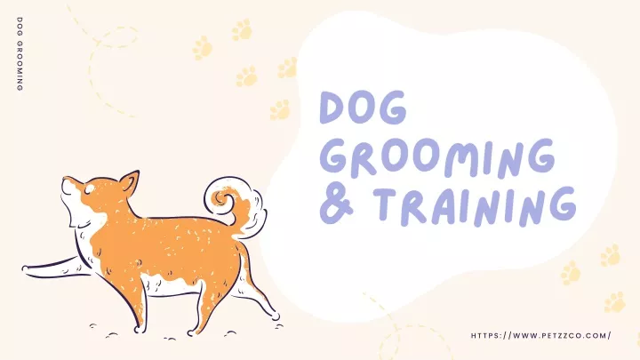 dog grooming training