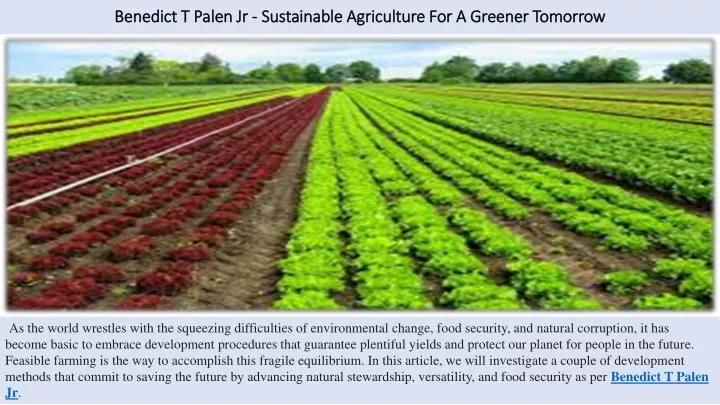 benedict t palen jr sustainable agriculture for a greener tomorrow